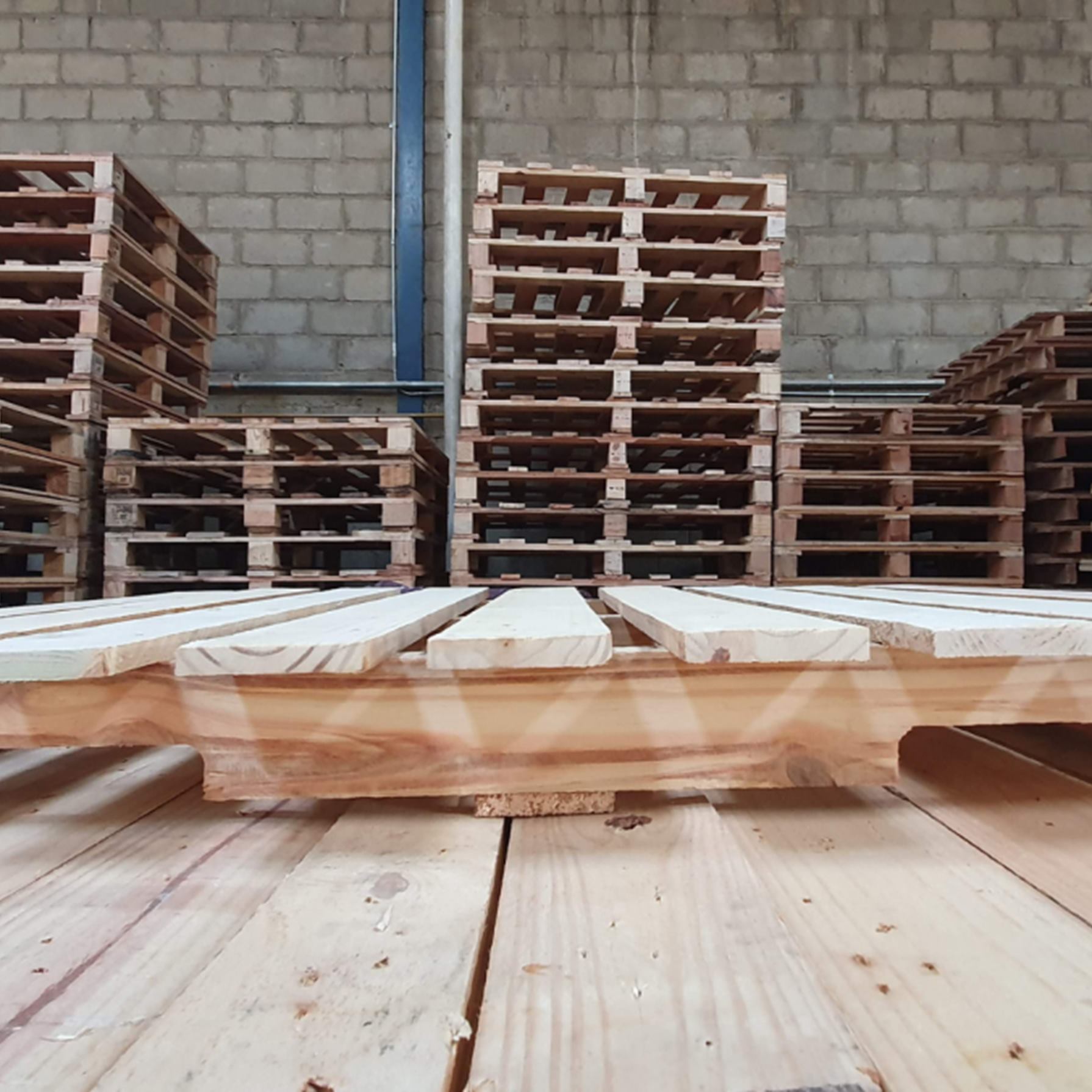 Estibas sostenibles para un mundo más verde