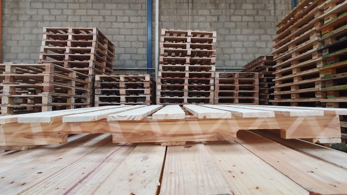 Estibas sostenibles para un mundo más verde